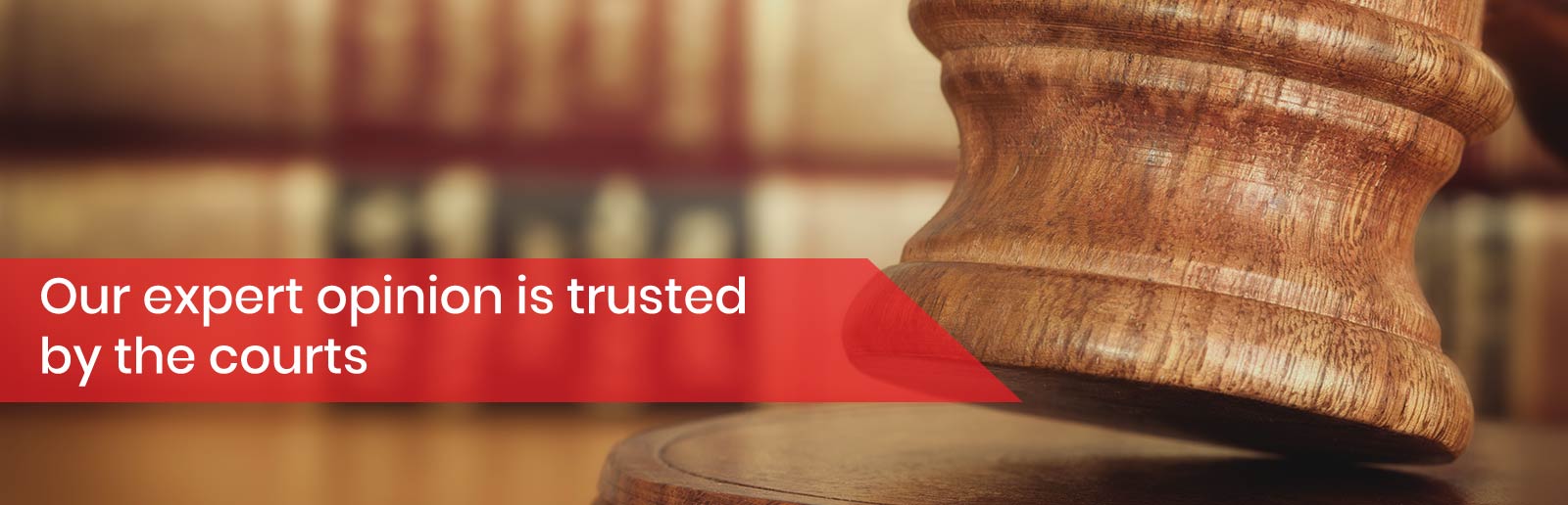 litigation